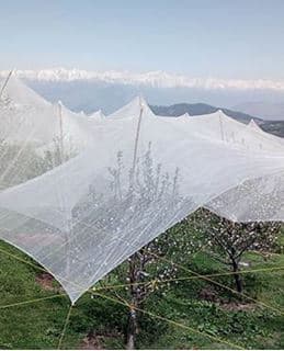 Anti Hail Net category